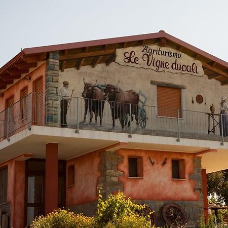 Agriturismo Le Vigne Ducali Màndas エクステリア 写真